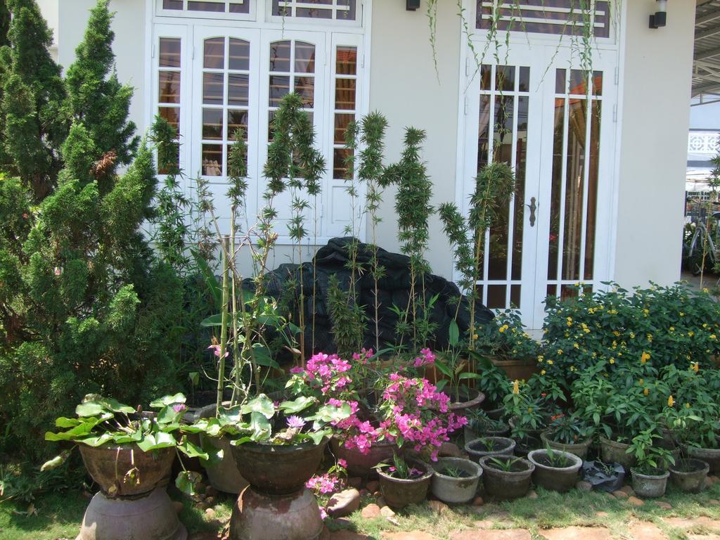 הוי אן Skybird Homestay מראה חיצוני תמונה