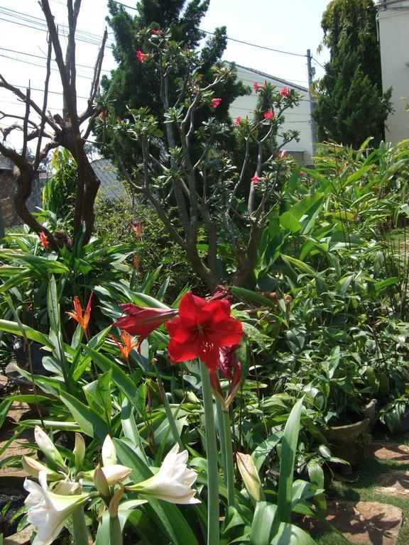 הוי אן Skybird Homestay מראה חיצוני תמונה